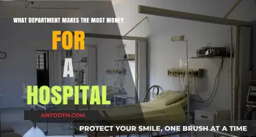 Maximizing Revenue: Identifying the Top-Earning Hospital Department