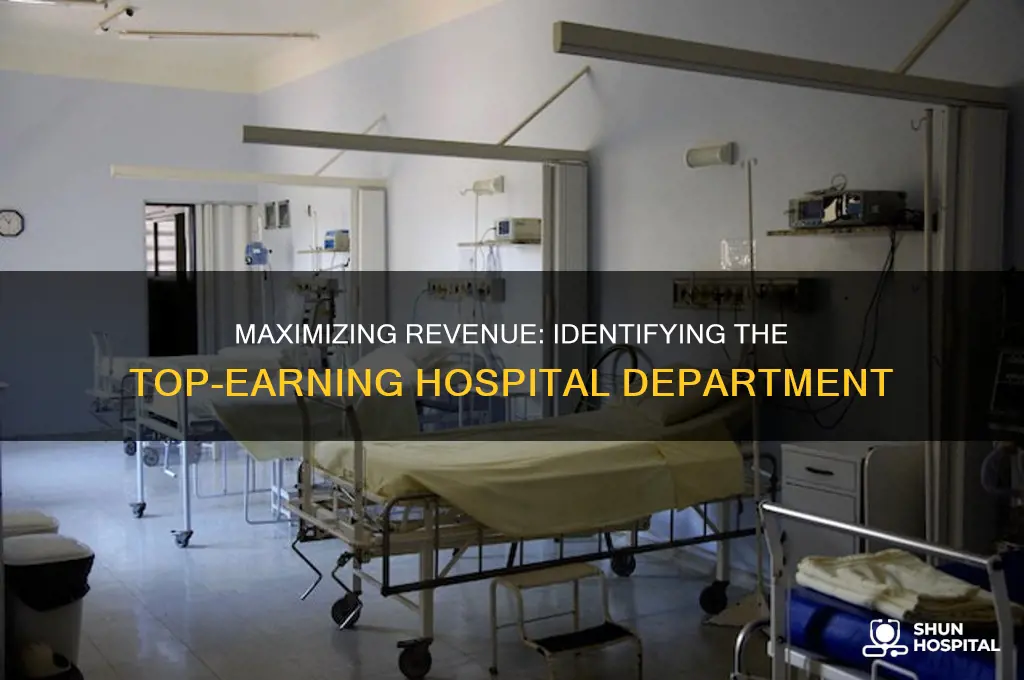what department makes the most money for a hospital