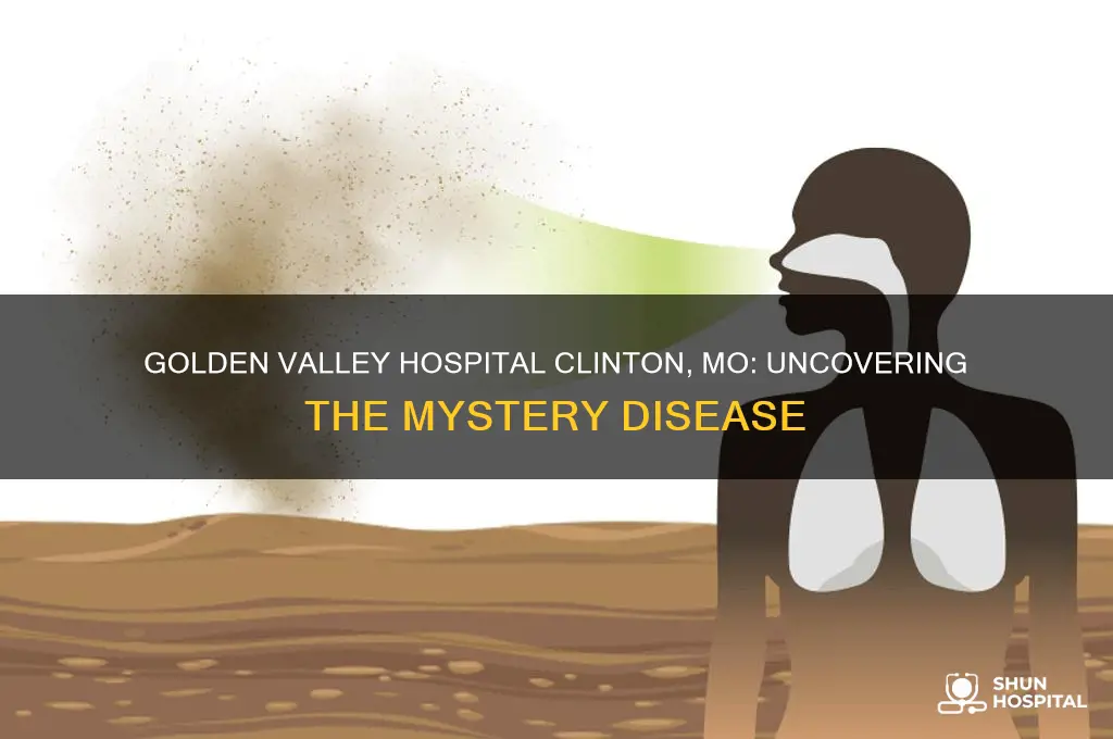what desease id in golden valley hospital in clinton mo
