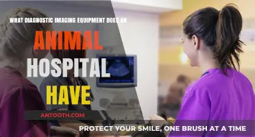 Essential Diagnostic Imaging Tools in Modern Animal Hospitals Explained