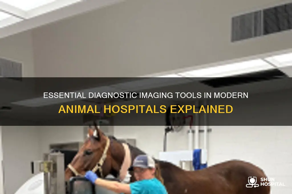 what diagnostic imaging equipment does an animal hospital have