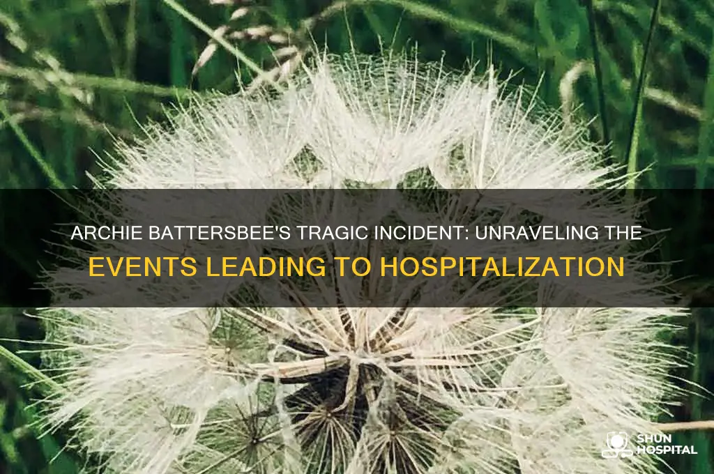 what did archie battersbee do to end up in hospital