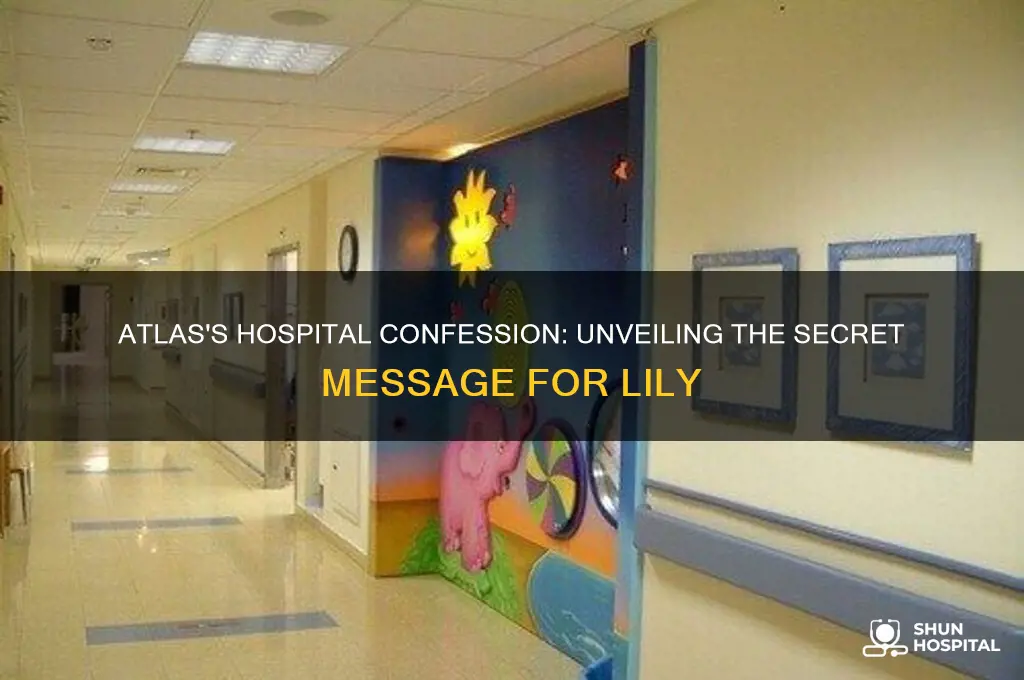 what did atlas want to tell lily in the hospital