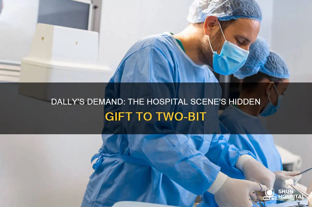 what did dally make two-bit give him in the hospital