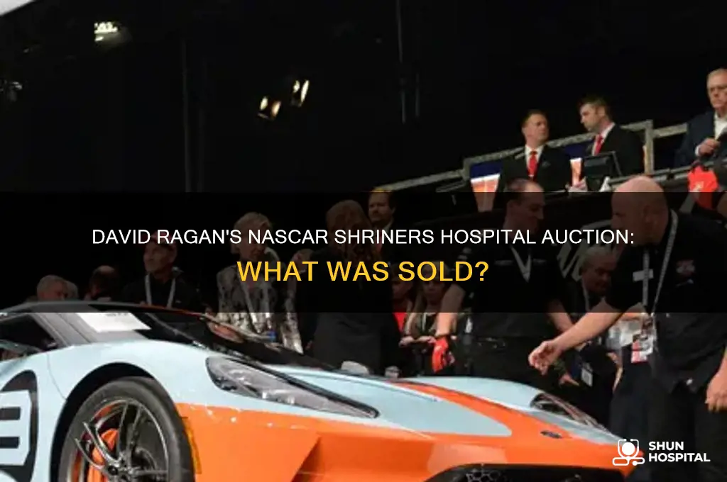 what did david ragan nascar shriners hospital auction for