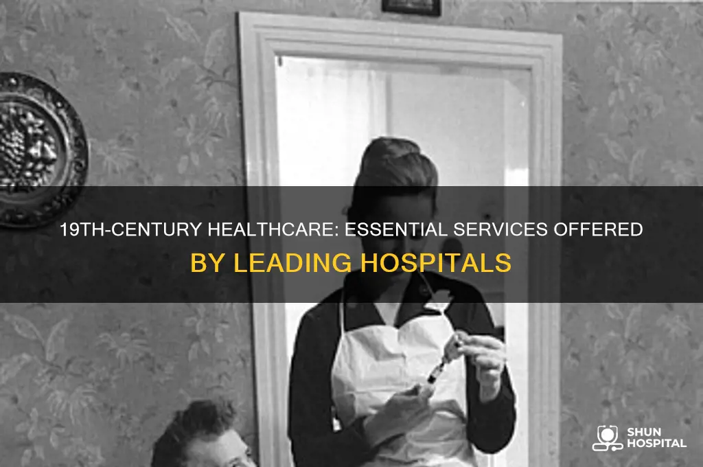 what did good hospitals provide in the 19th century