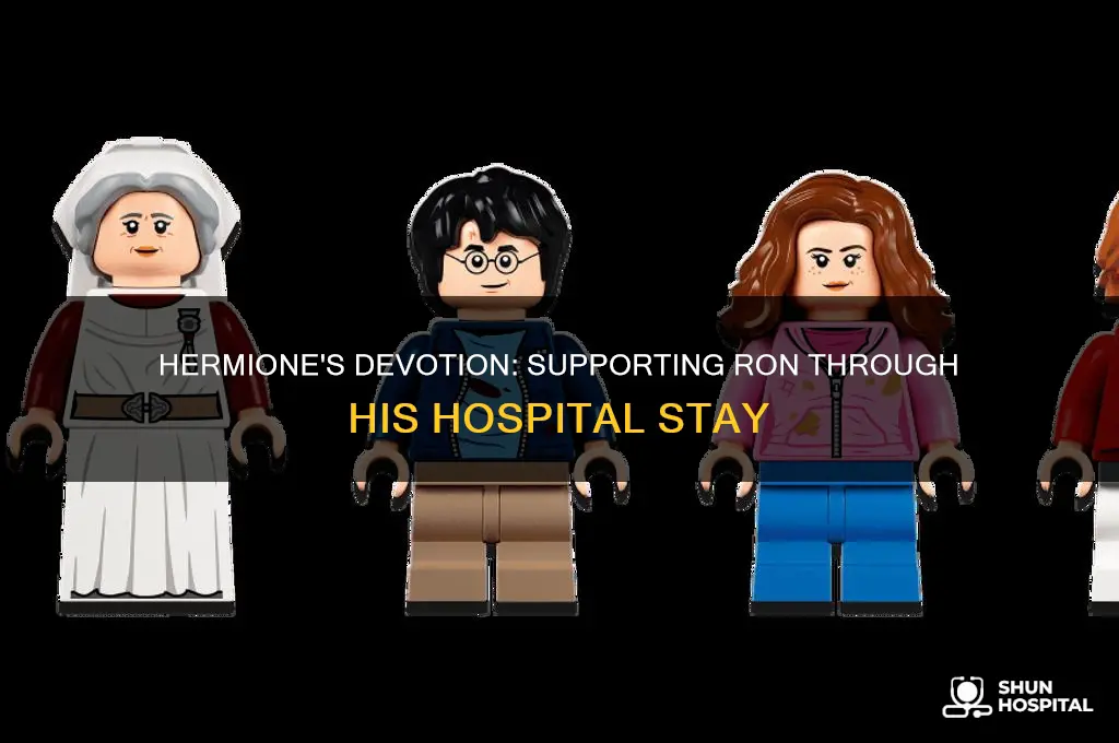 what did hermione do when ron went to the hospital