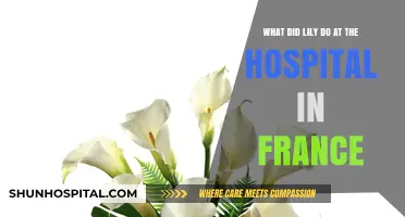Lily's Unexpected Journey: A Day at a French Hospital