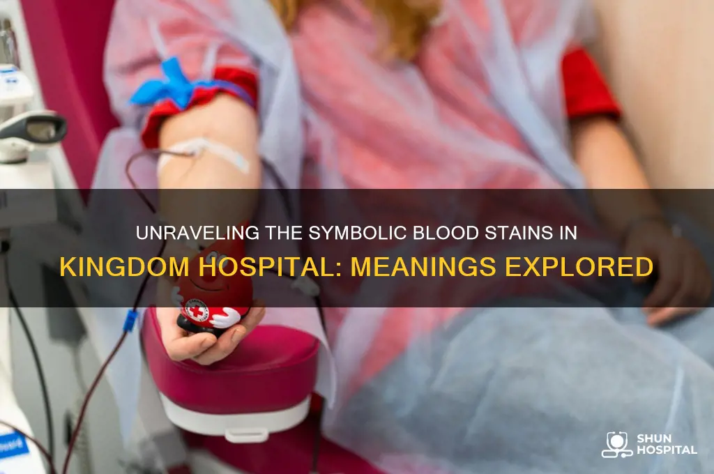 what did the blood stains in kingdom hospital stand for