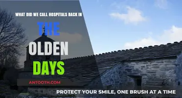 From Infirmaries to Hospices: Exploring Ancient Names for Hospitals