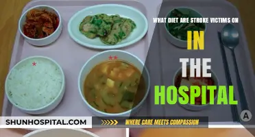 Post-Stroke Hospital Diets: Nutrition Plans for Recovery and Rehabilitation