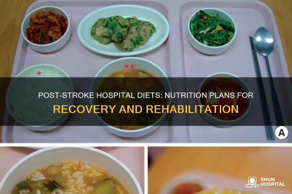 what diet are stroke victims on in the hospital