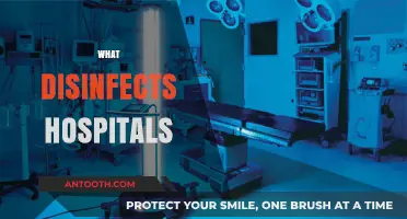 Effective Hospital Disinfection: Methods, Products, and Best Practices Explained