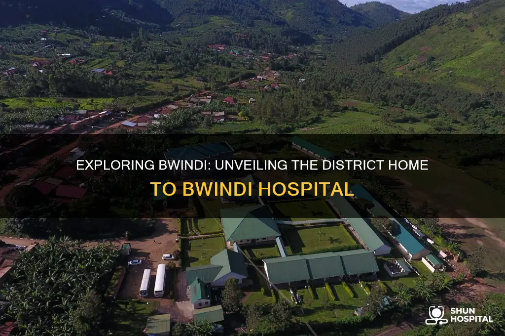 what district is bwindi hospital