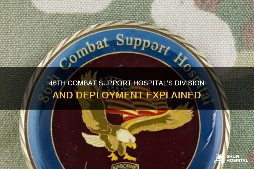 what division was the 46th combat support hospital in