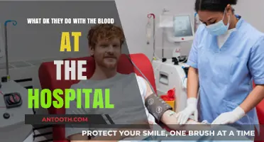 Unveiling the Hospital's Blood Utilization: From Donation to Patient Care