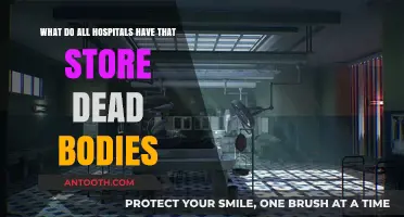 Exploring Hospital Morgues: Where Deceased Patients Are Stored and Preserved