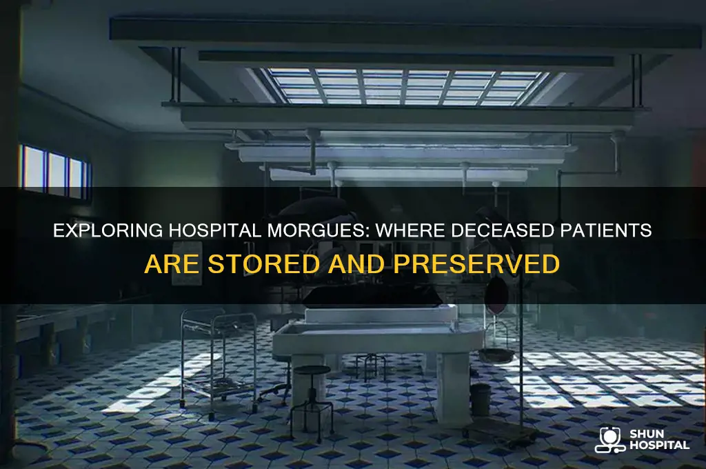 what do all hospitals have that store dead bodies