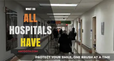 Essential Hospital Components: What Every Healthcare Facility Must Have
