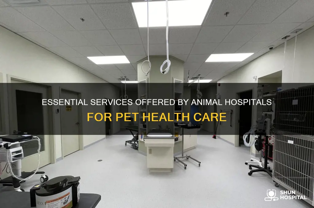 what do animal hospitals provide
