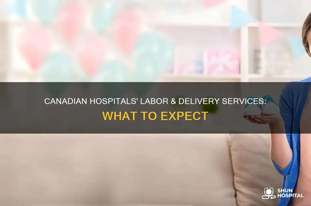 what do canadian hospitals provide for labor and delivery