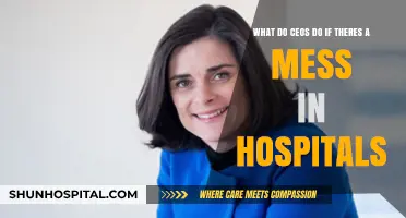 Crisis Leadership: How CEOs Navigate and Resolve Hospital Chaos