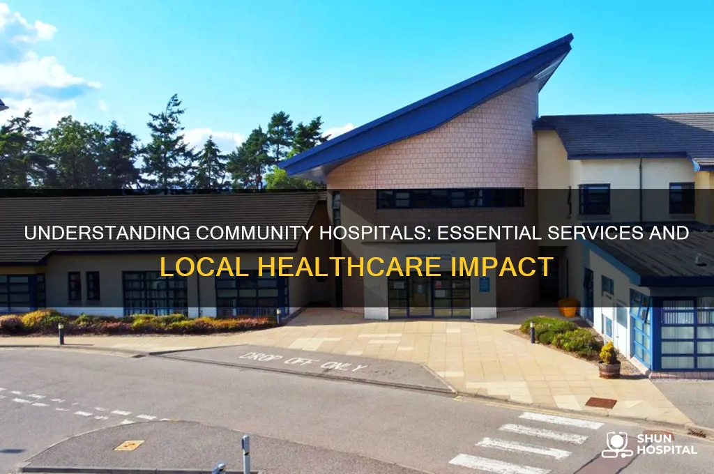 what do community hospitals do