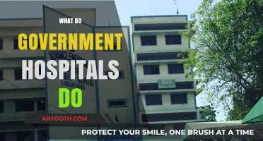 Understanding the Role and Services of Government Hospitals in Healthcare