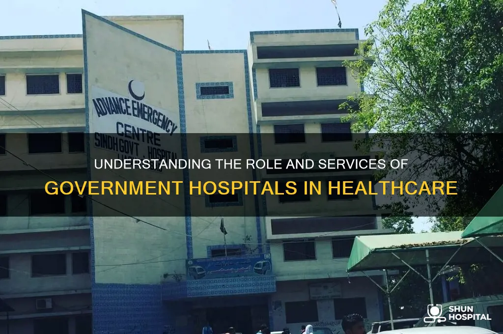 what do government hospitals do
