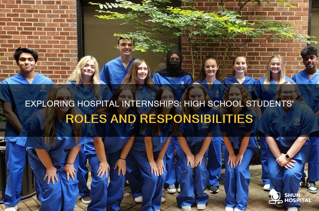 what do high school interns do at a hospital