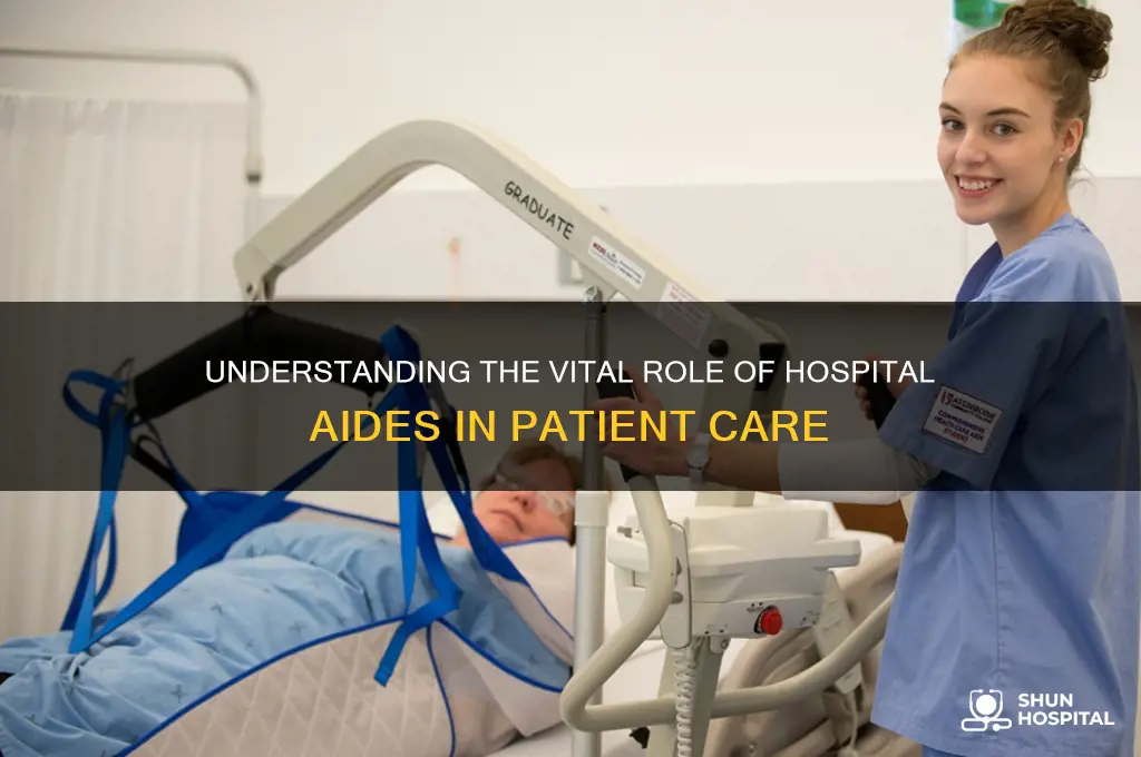 what do hospital aides do