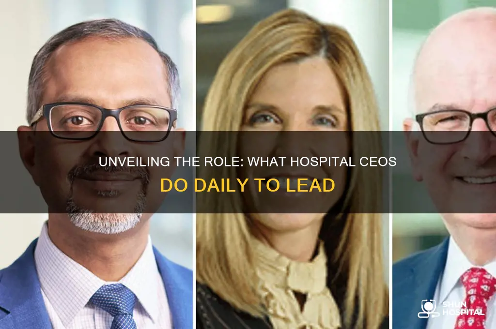 what do hospital ceos do