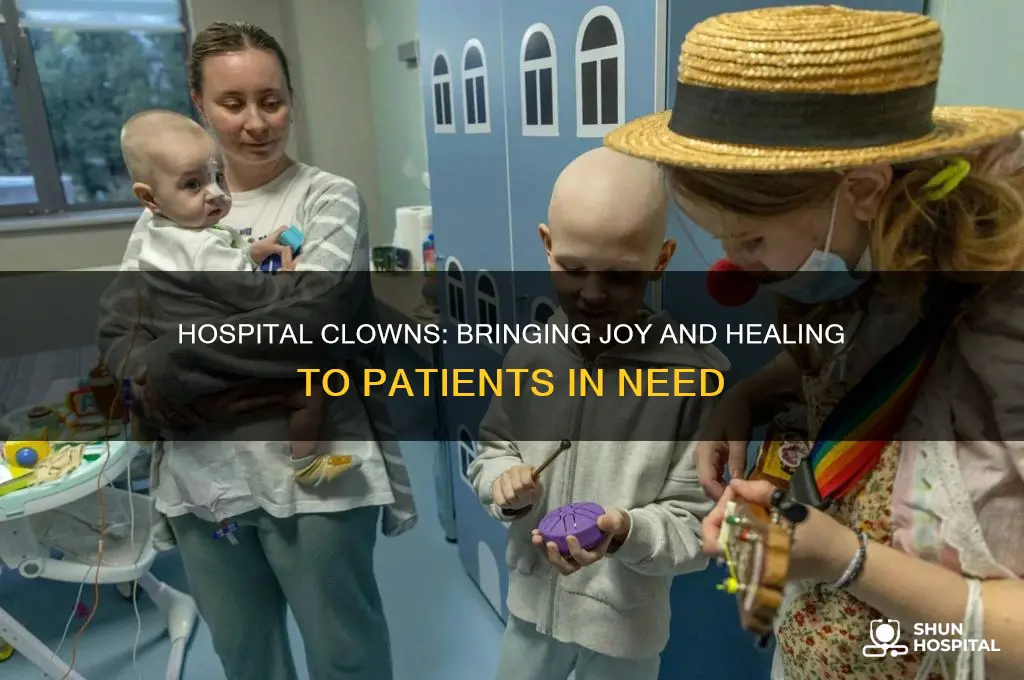 what do hospital clowns do