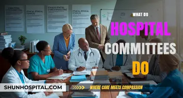 Understanding Hospital Committees: Roles, Responsibilities, and Impact on Patient Care