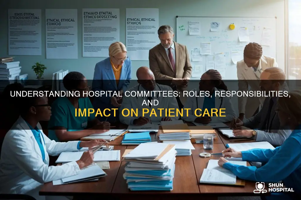 what do hospital committees do