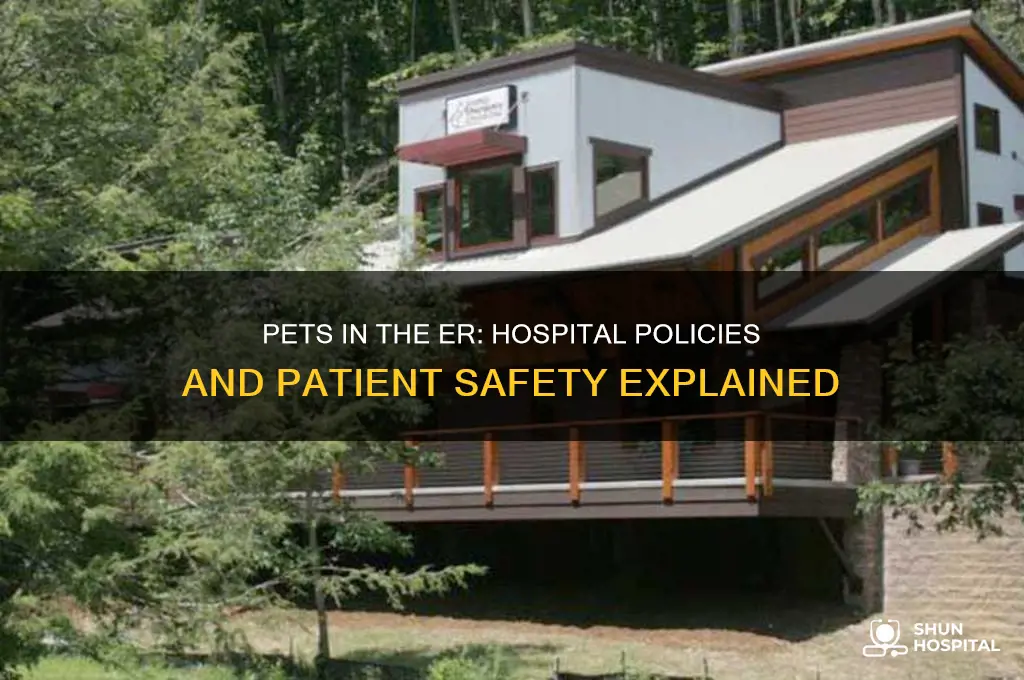 what do hospital do if people bring pets into er