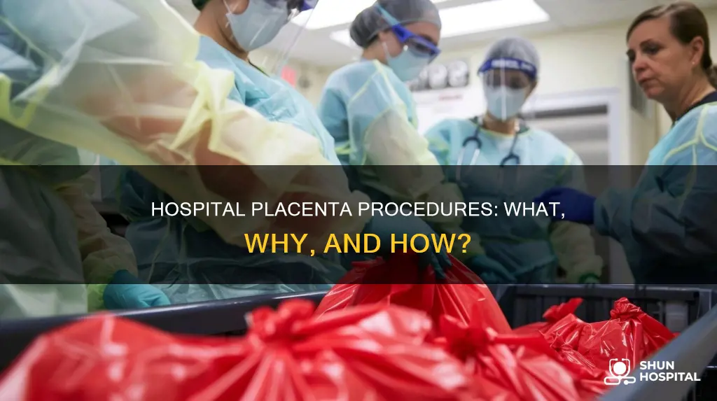 what do hospital do with the placenta