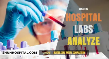 Unveiling Hospital Lab Analysis: Key Tests and Their Critical Roles