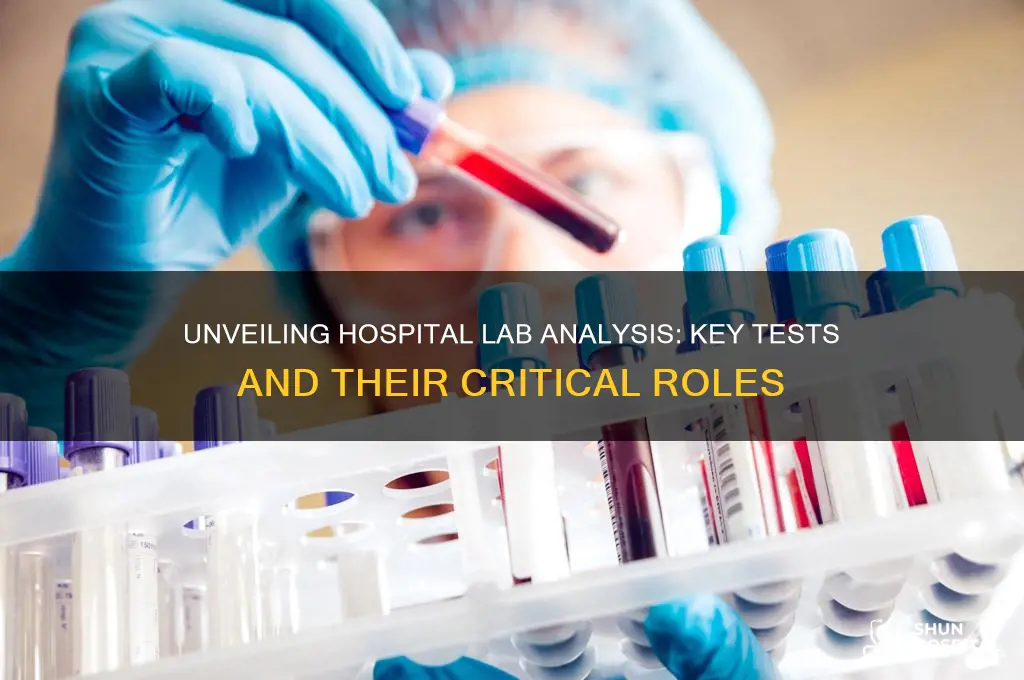 what do hospital labs analyze