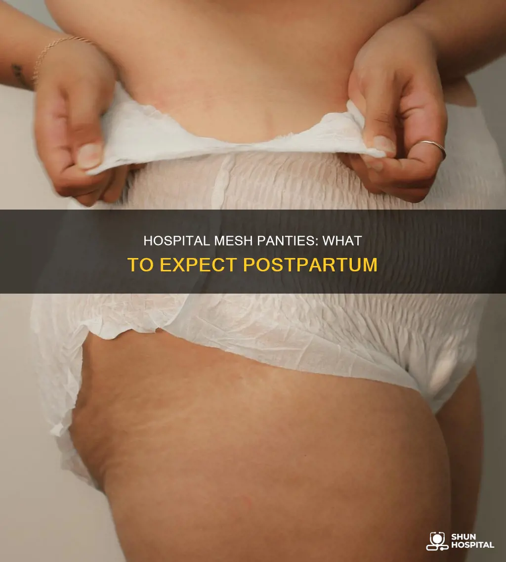 what do hospital mesh panties look like