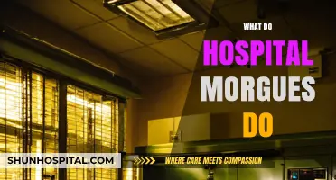 Hospital Morgues: Essential Roles, Procedures, and Respectful Care Explained