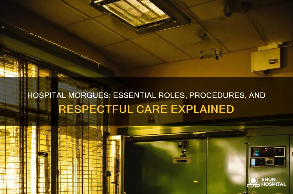 what do hospital morgues do