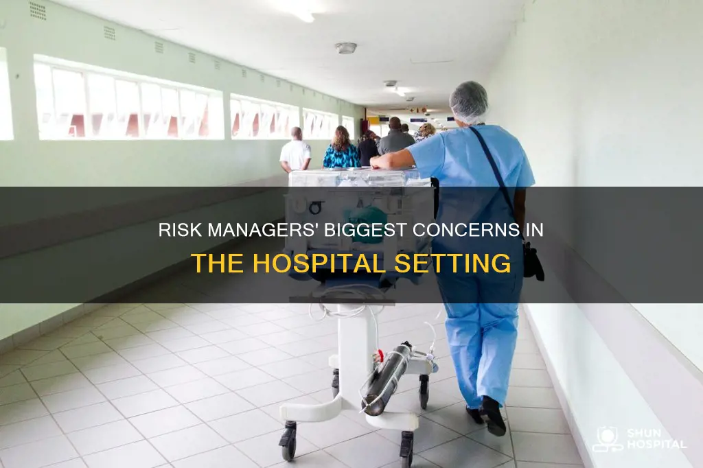 what do hospital risk managers worry about