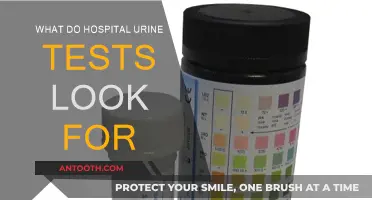 Urine Tests: What Hospitals Are Looking For