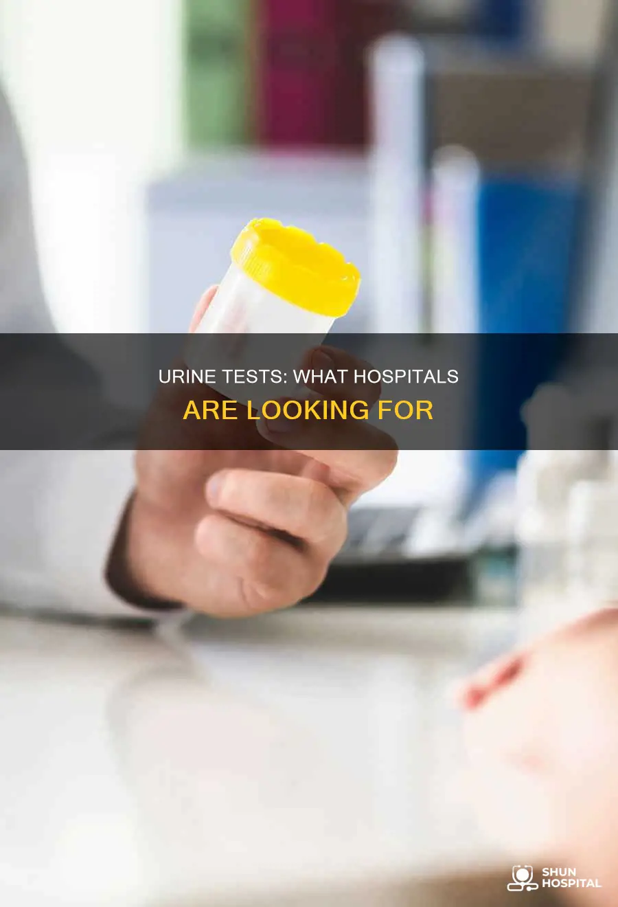 what do hospital urine tests look for