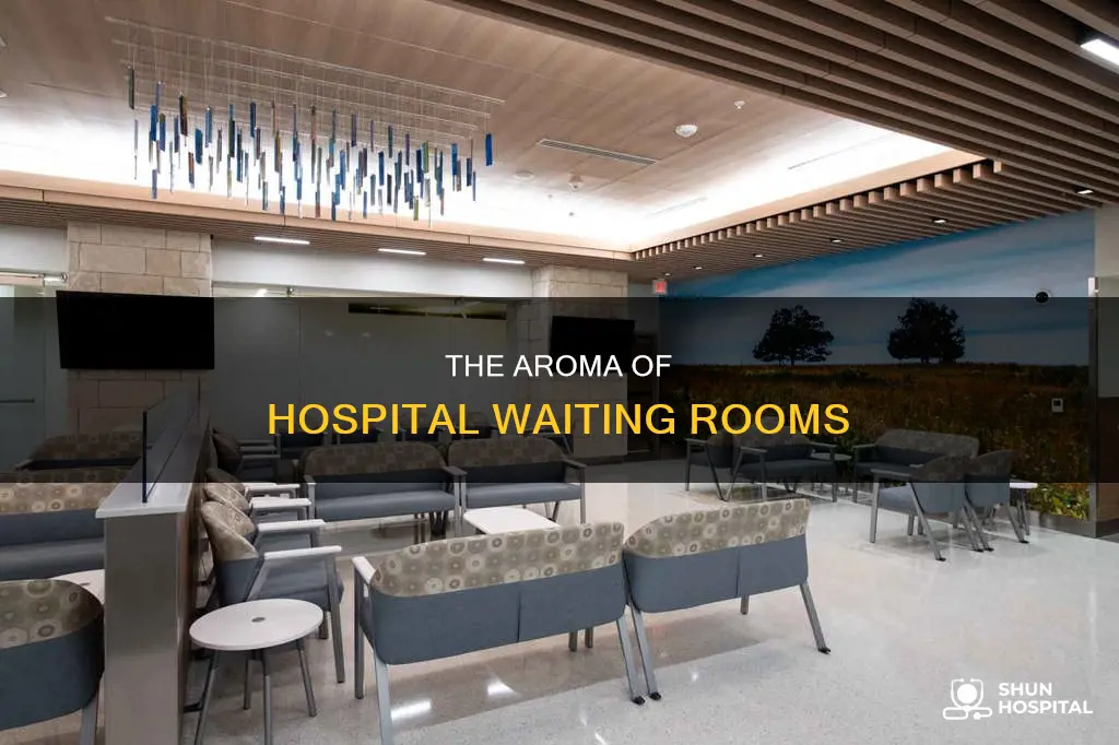 what do hospital waiting rooms smell like