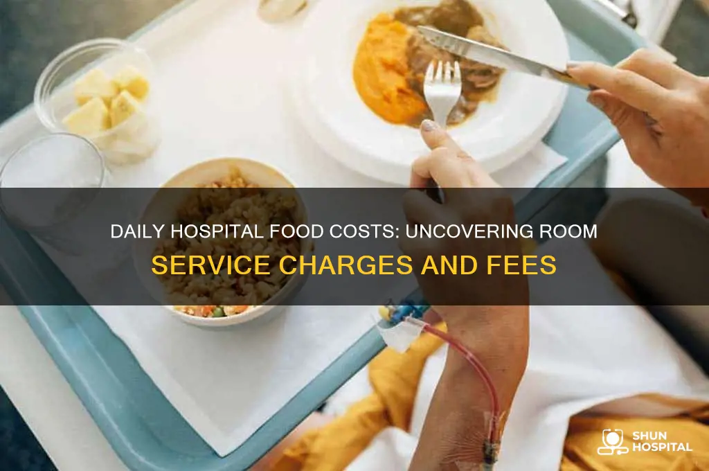 what do hospitals charge for food daily room service