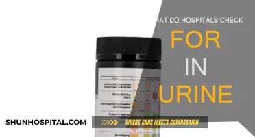 Urine Analysis: What Hospitals Test and Why