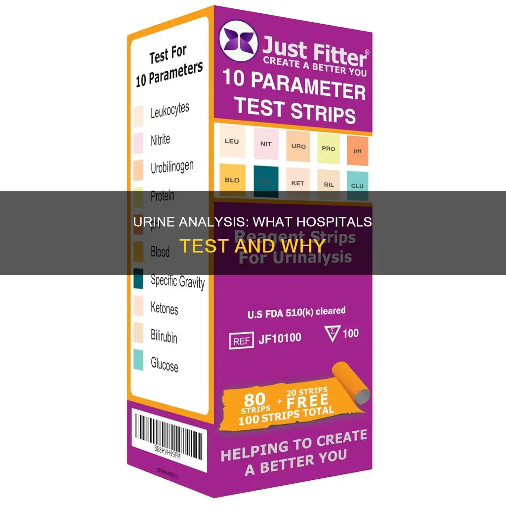 what do hospitals check for in urine