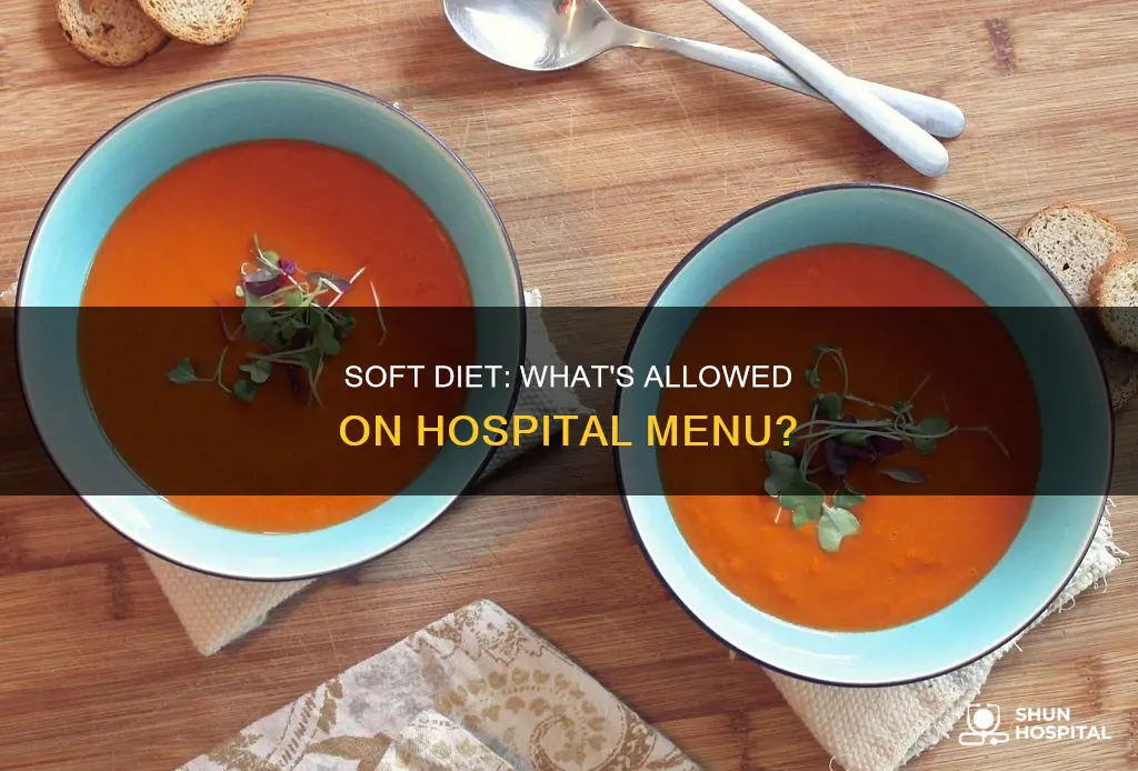 what do hospitals considered a soft diet